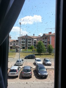 Meglio chiudere la finestra.