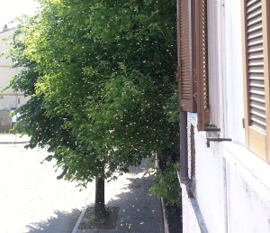 Ora si può uscire sul terrazzino.