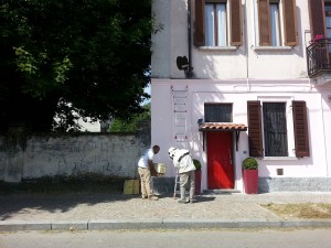 Adescamento dello sciame.