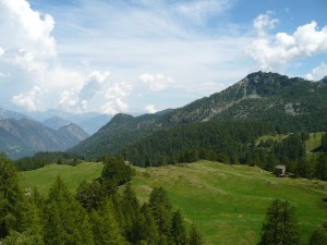 tornando a Chardonney